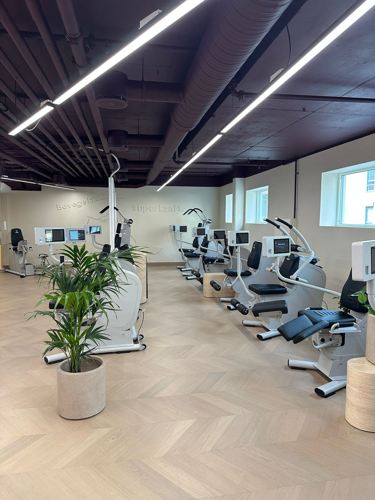 Trygg styrketrening for voksne 50+ hos Nono Moss