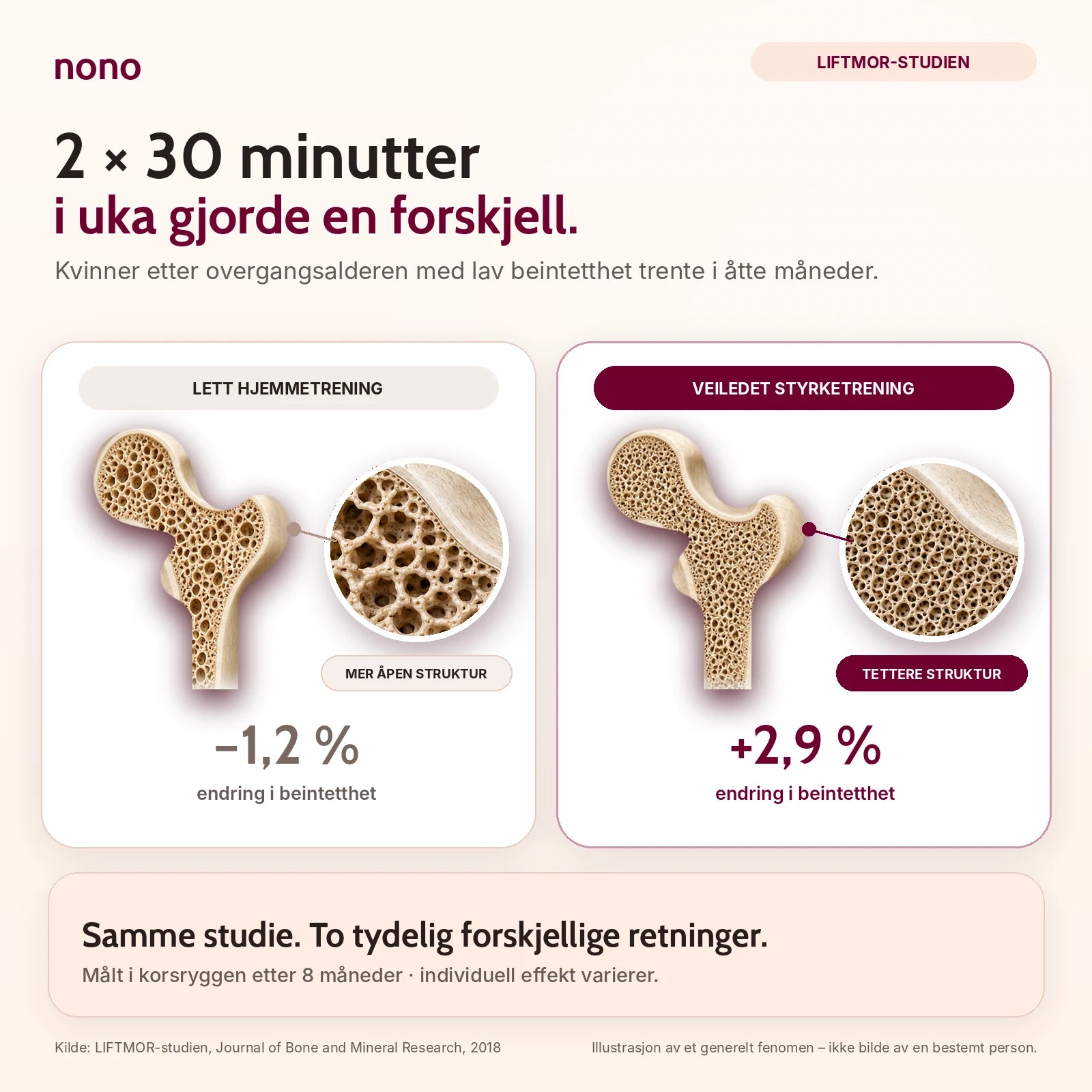 LIFTMOR-studien: kvinner etter overgangsalderen trente to ganger tretti minutter i uka i åtte måneder. Lett hjemmetrening ga minus 1,2 prosent beintetthet, veiledet styrketrening pluss 2,9 prosent. Individuell effekt varierer.
